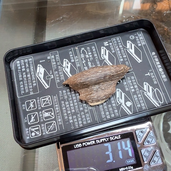 沉香摆件海南瓜子