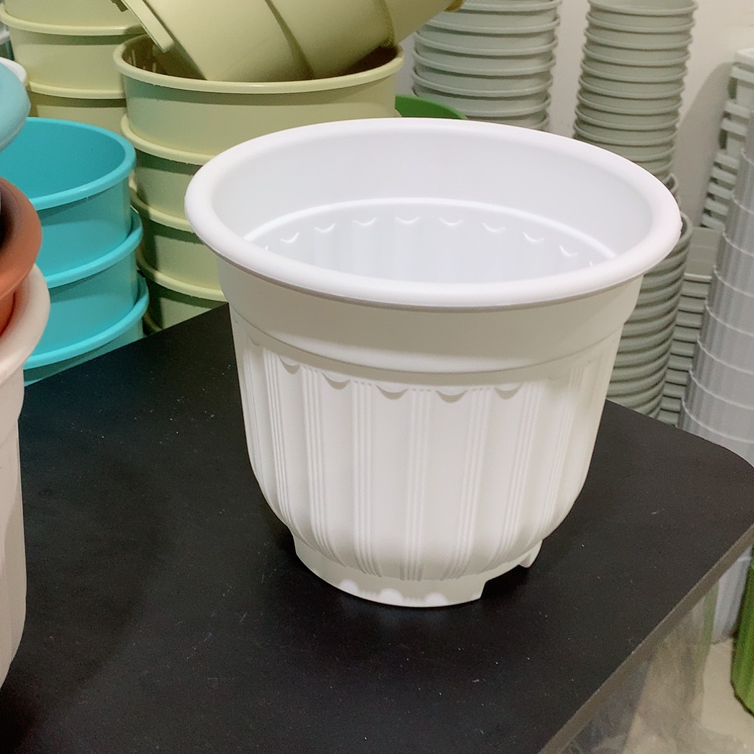 树脂罗马口21白4个无托