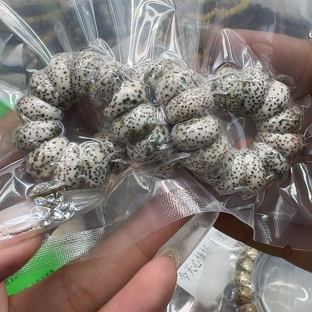 手串星月菩提334傲世青花星月菩提猪大肠13单圈