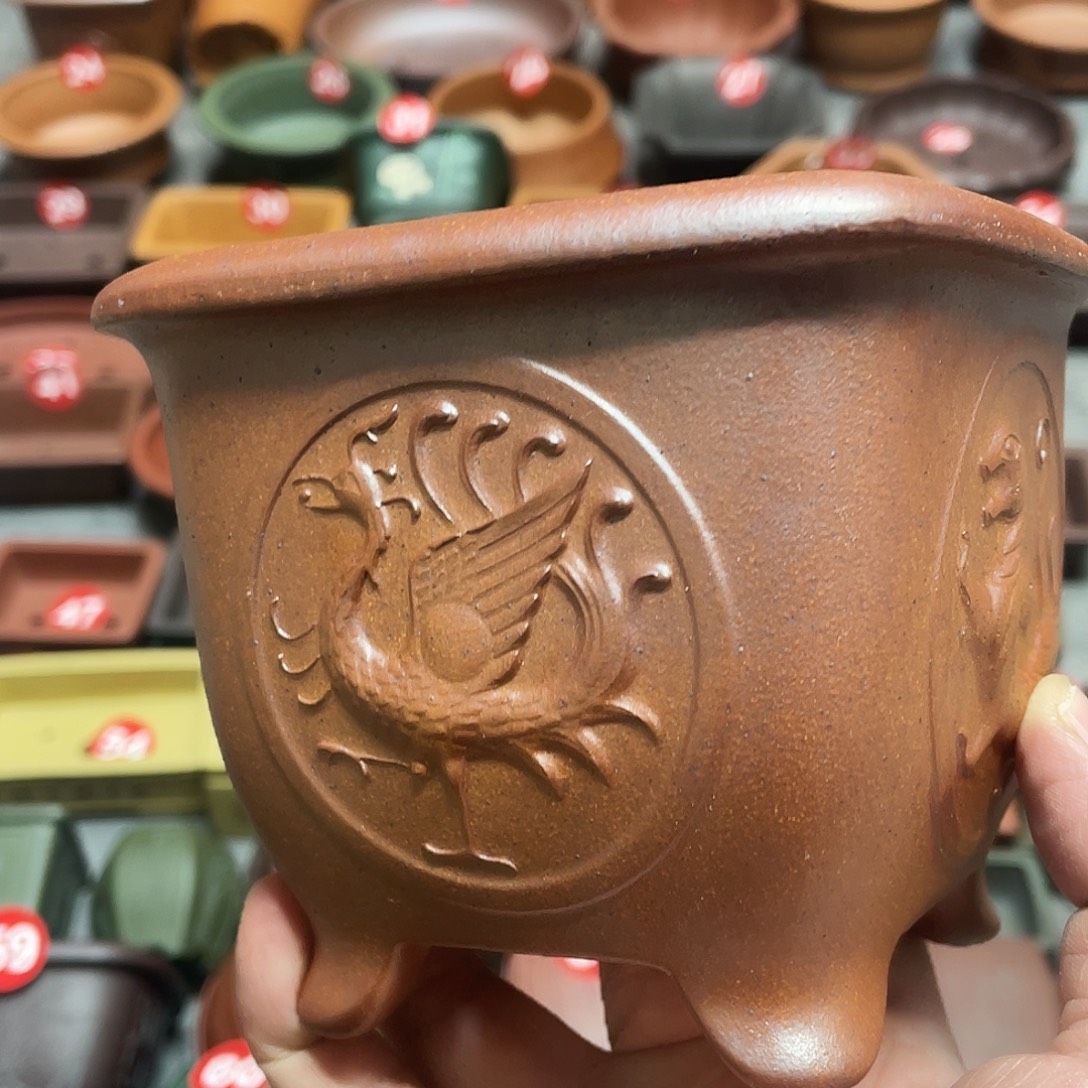 紫砂小盆10*8cmmmm