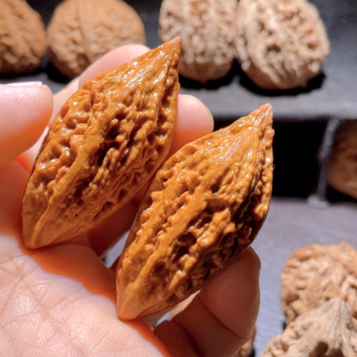 【闪购商品】文玩核桃把件东北楸子16