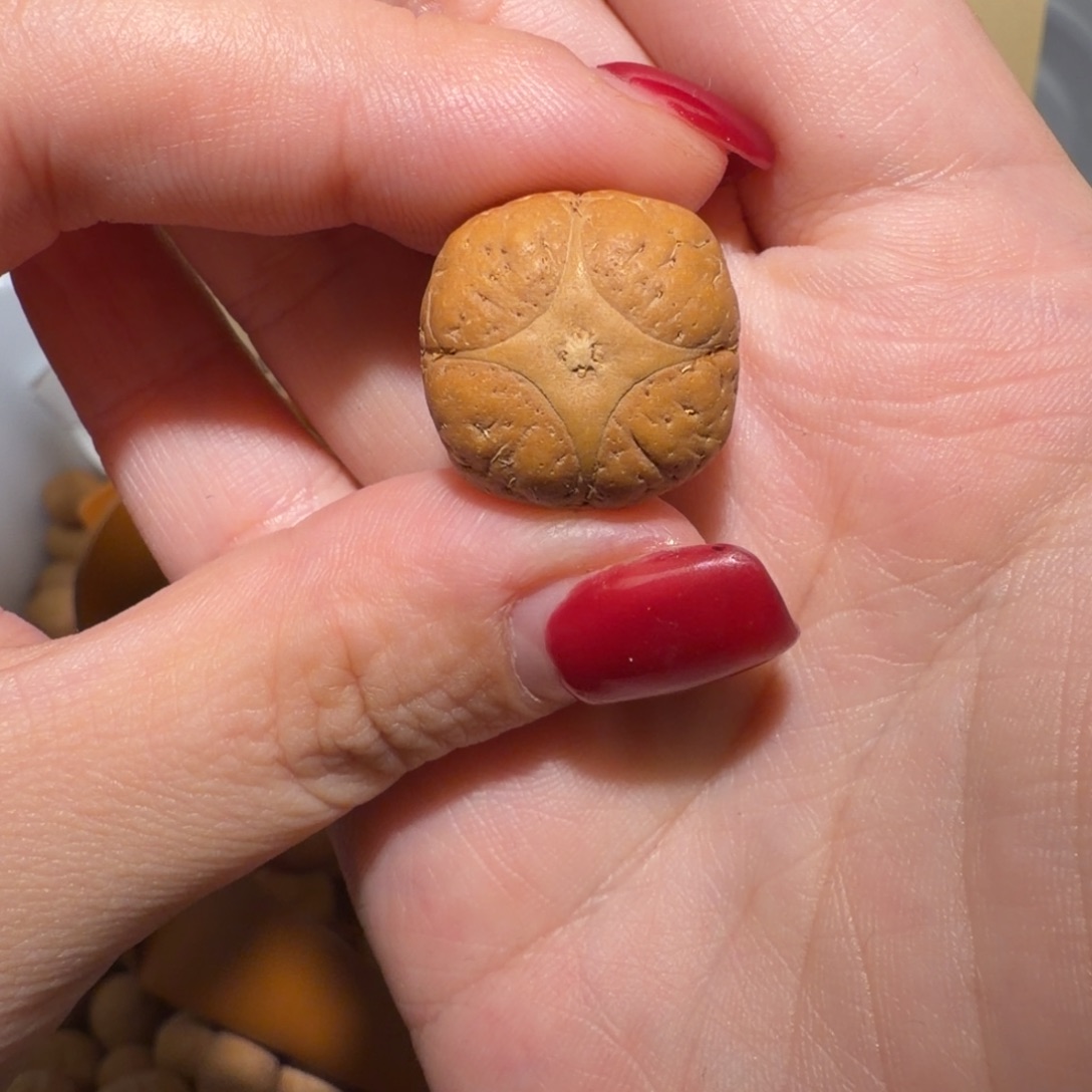 吊坠凤眼菩提21梅花