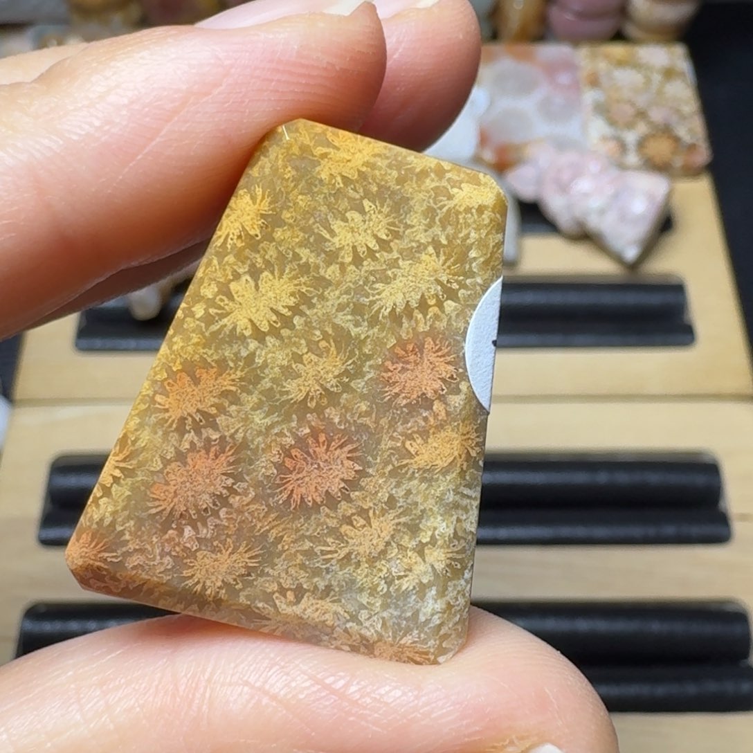 硅化玉大虾未镶嵌