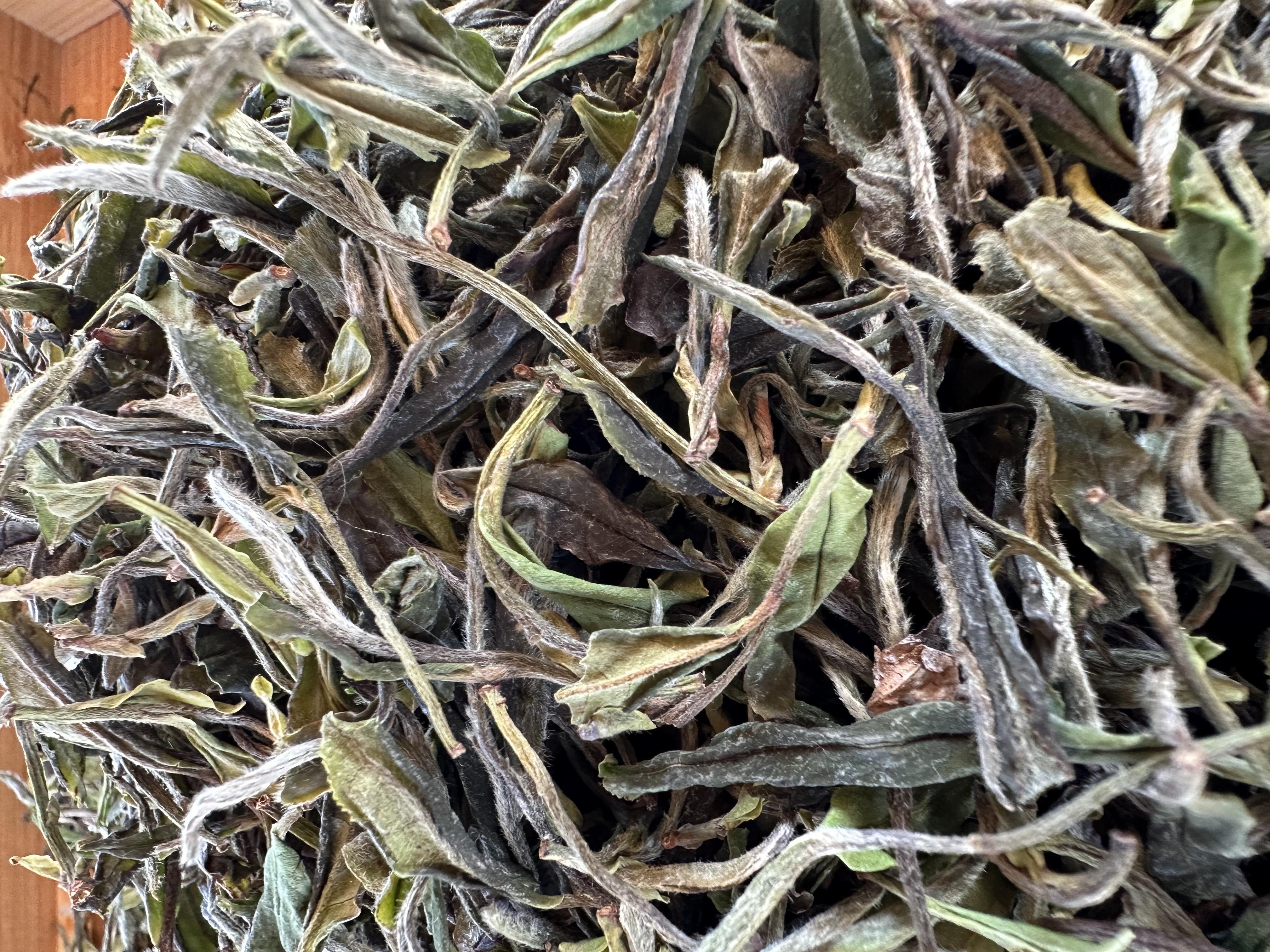 【野贡】福鼎白茶2025年野生小采茶香爽甘甜花香馥郁