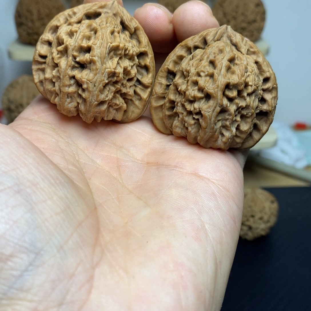 大叶紫檀（黑酸枝木类）42三角白