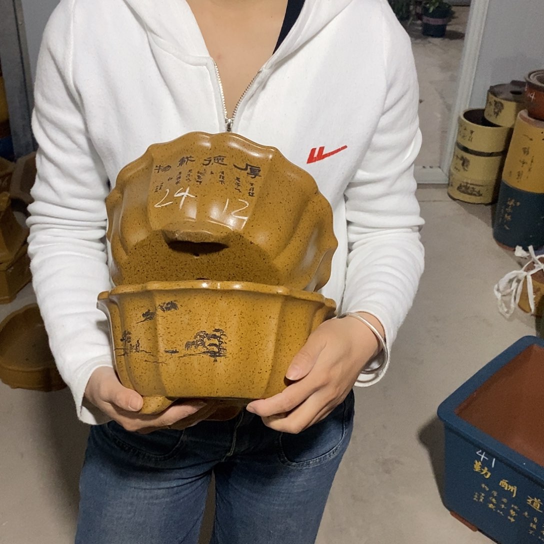 紫砂花盆紫砂花盆