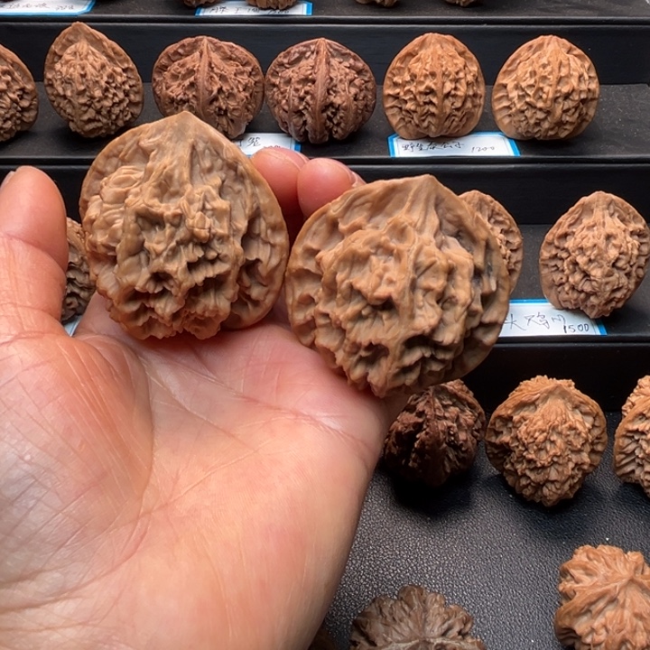 空***心核桃秦岭野生大花