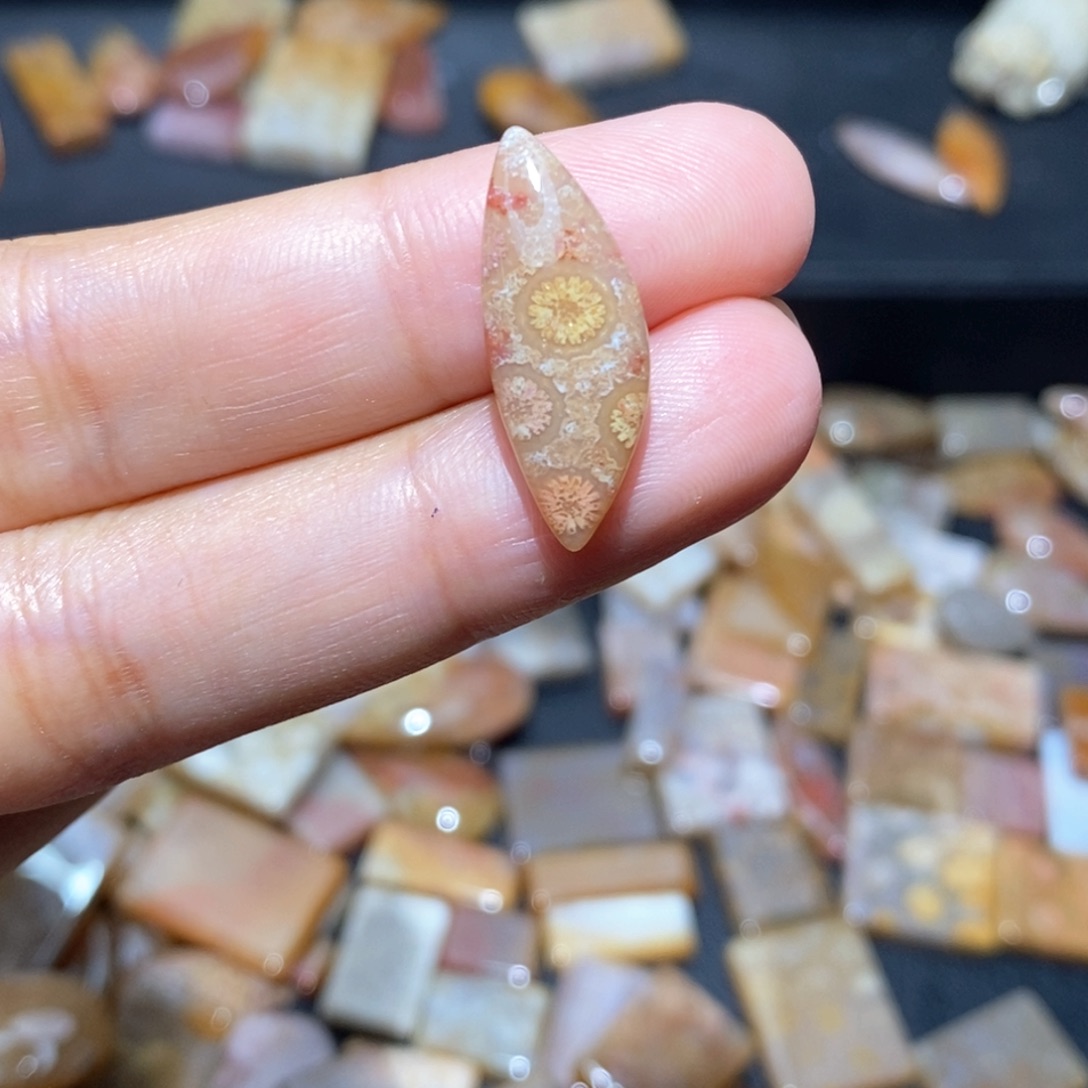 【闪购商品】硅化玉颈饰未镶嵌