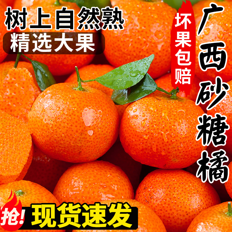 正宗广西桂林砂糖橘当季新鲜水果纯甜皮薄蜜桔沙糖桔橘包邮5/9斤