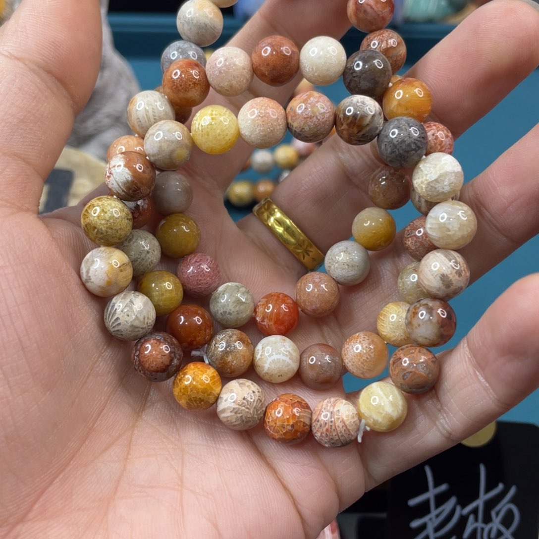 未镶嵌手镯硅化玉