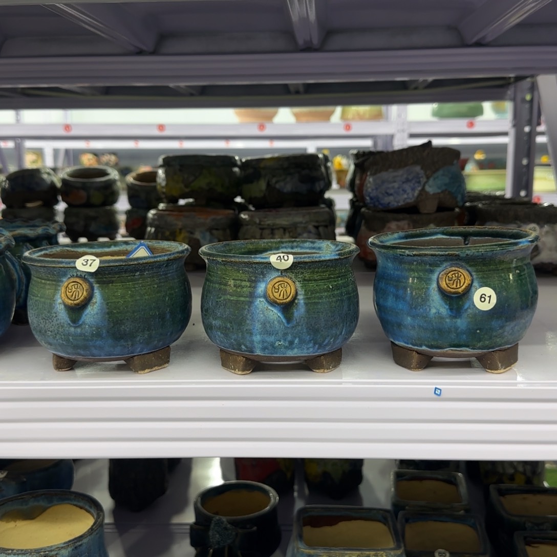 红陶口径11，75米3个