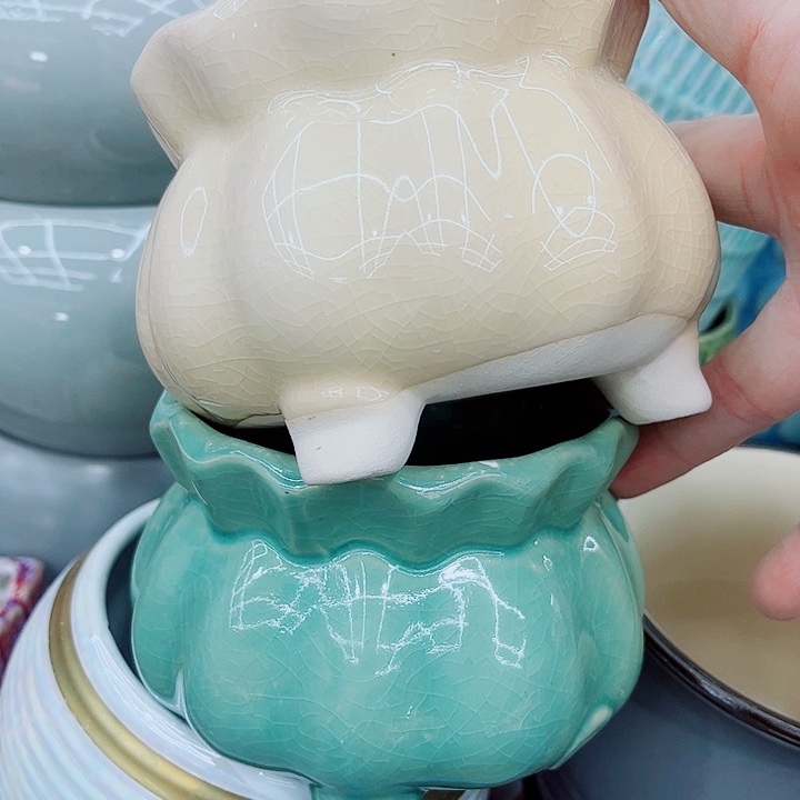 多肉植物陶瓷花盆