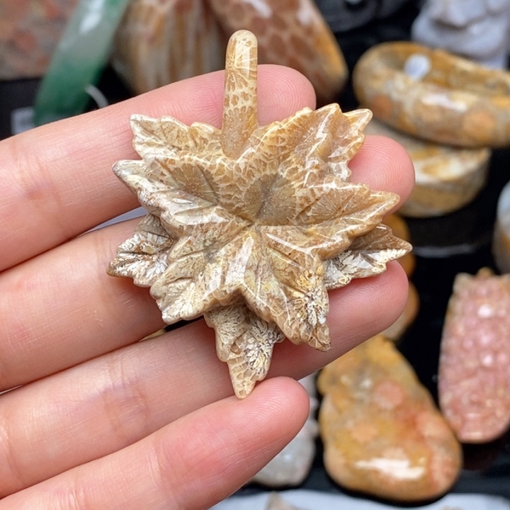 硅化珊瑚（珊瑚玉）手镯未镶嵌