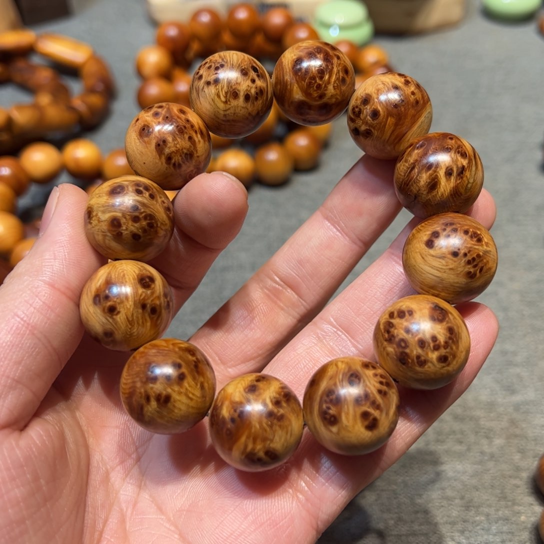 太行崖柏陈化太行