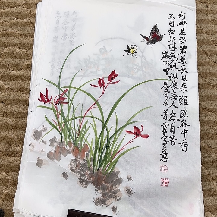 国画花鸟等多种鸟类和