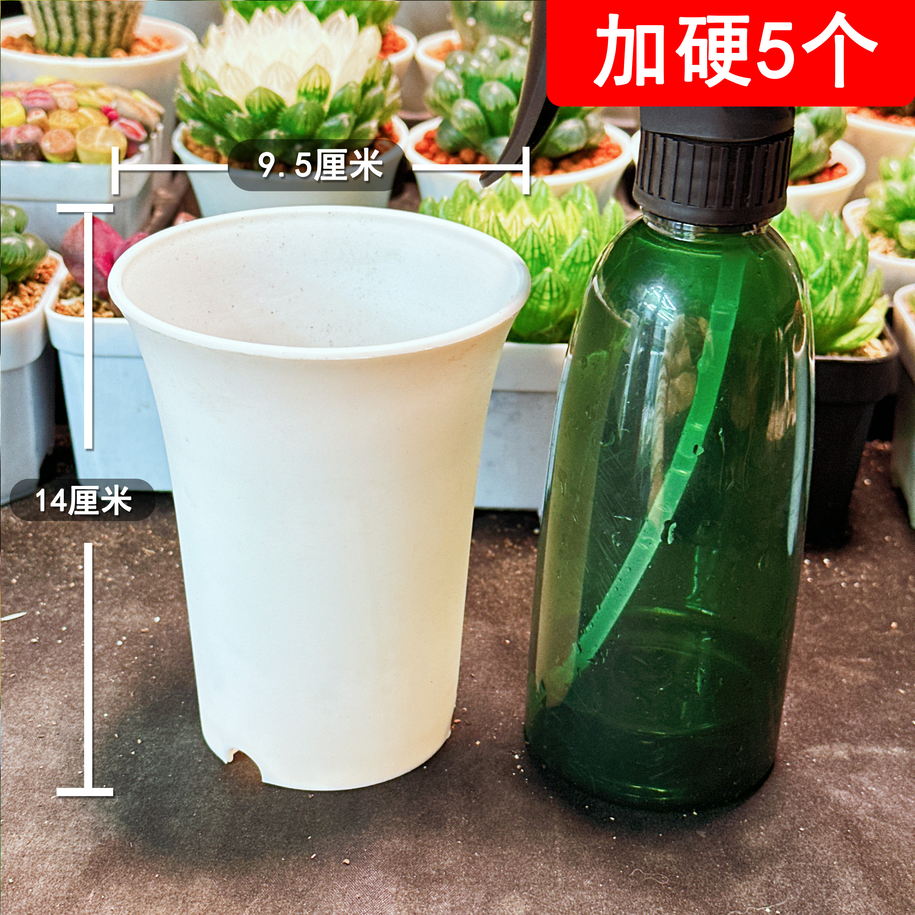 【加高加硬万象盆5个】  口径9.5CM  高度12CM 白色 多肉植物用
