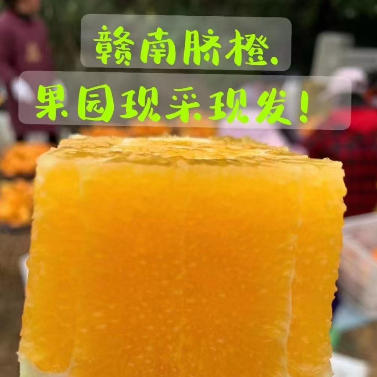 正宗赣南脐橙果园现采现发10斤9省包邮
