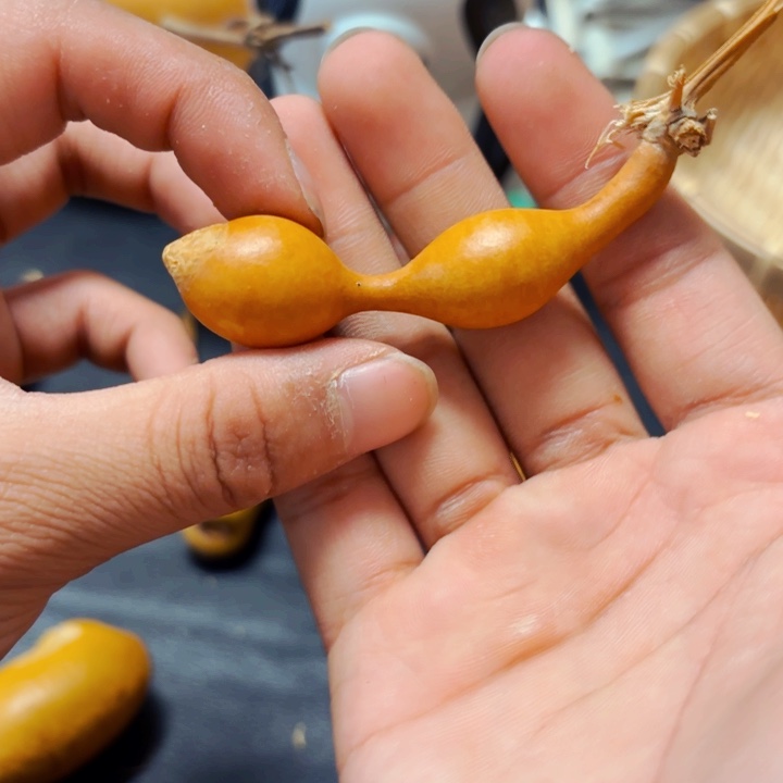 大**边88888888888888888888