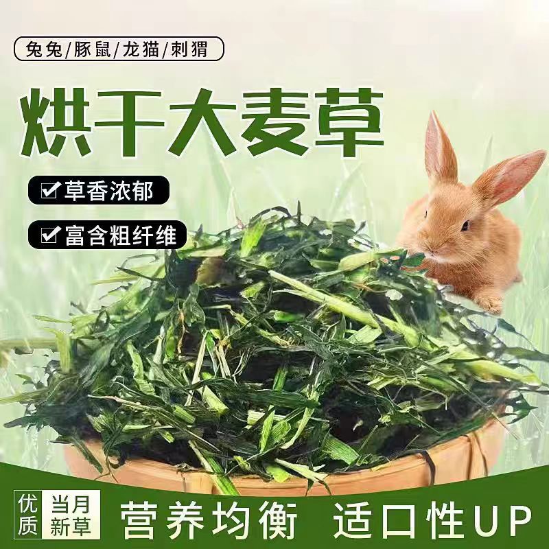 烘干大麦草段兔子猪龙猫豚鼠天竺鼠宠物干草牧草食物