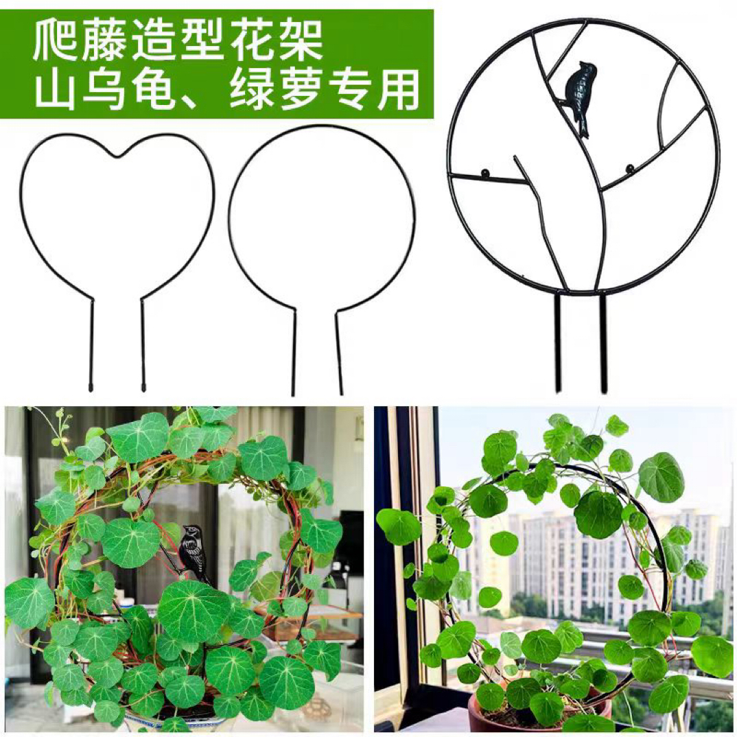 室内爱心形圆形铁艺花架山乌龟绿萝等绿植攀爬园艺造型支架
