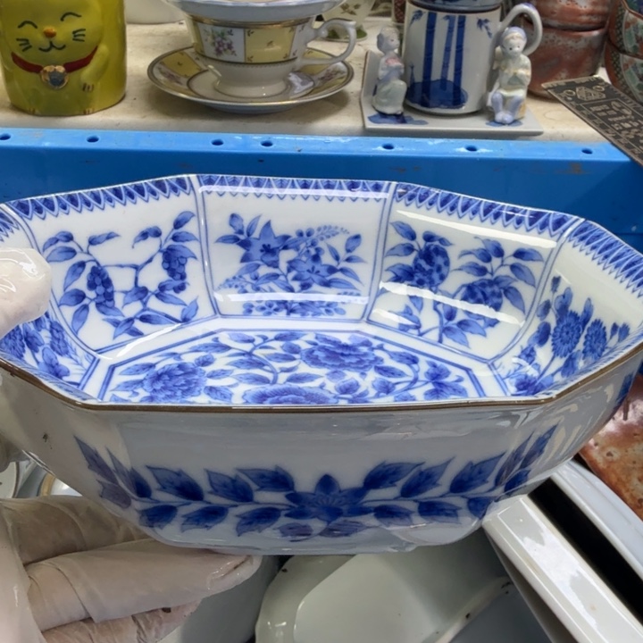 瓷片开播啦…开播啦！