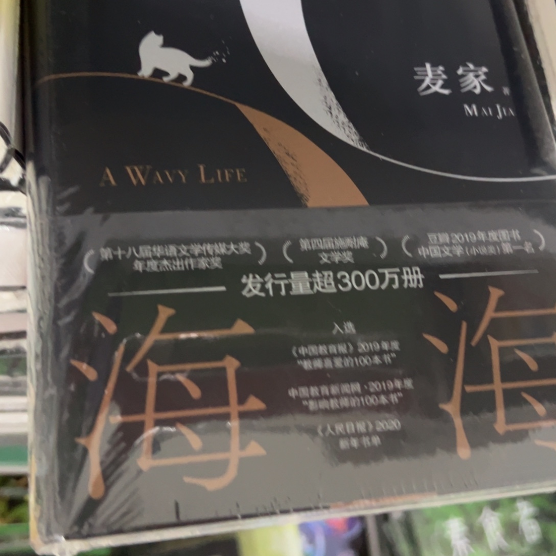 人生海海精装一个福利