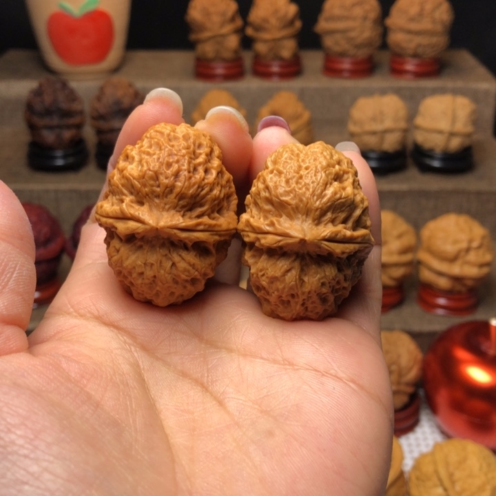 文玩核桃把件12卧龙元宝蟾