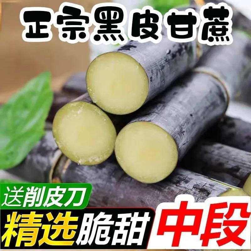 正宗广西黑皮甘蔗新鲜孕妇中段批发脆甜水果当季甜杆整箱青皮黄皮