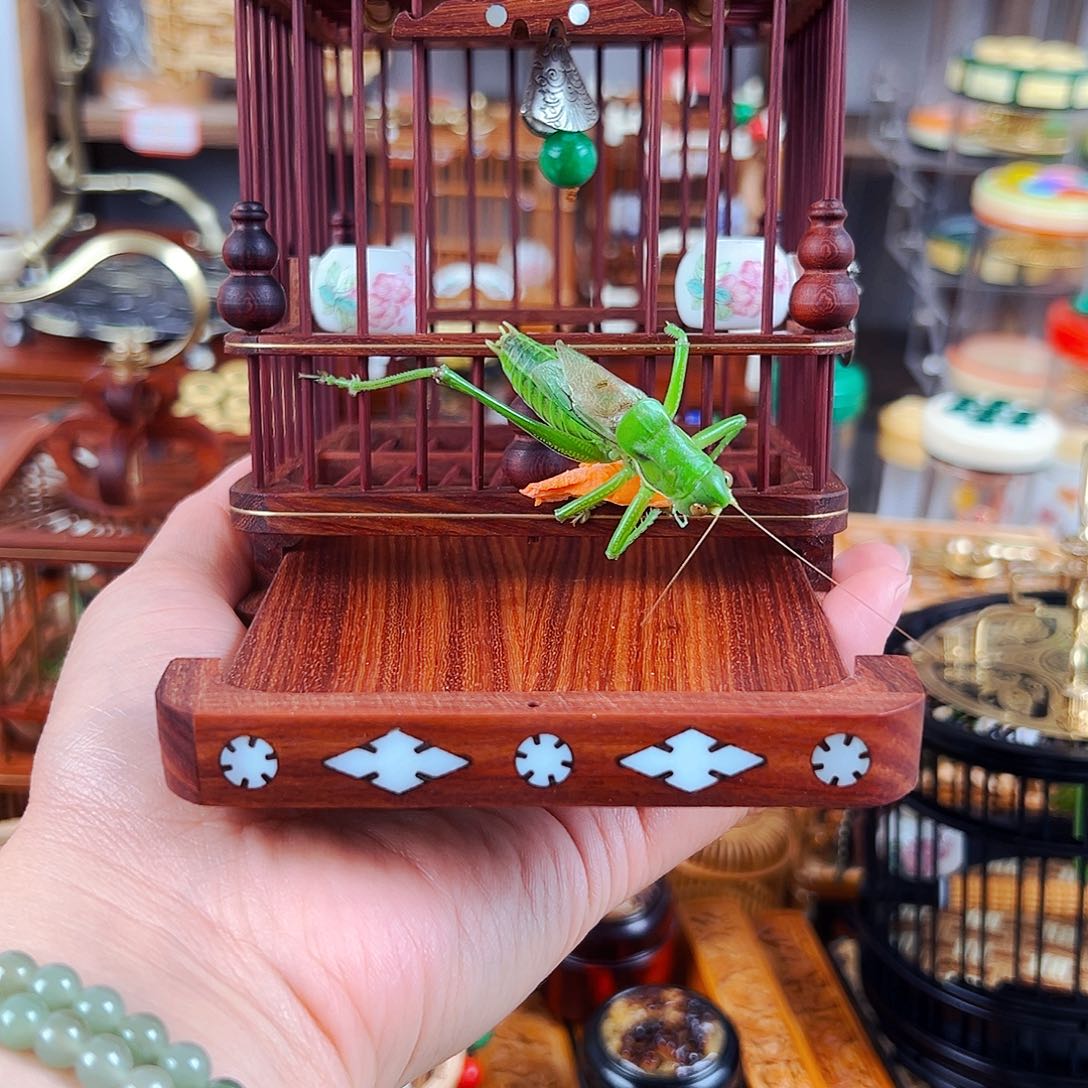 木福利款抽屉款蝈蝈笼➕瓷罐➕翡翠绿蝈蝈