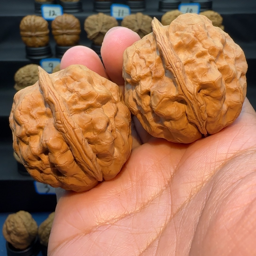 北***️把件桃核七龙珠核桃