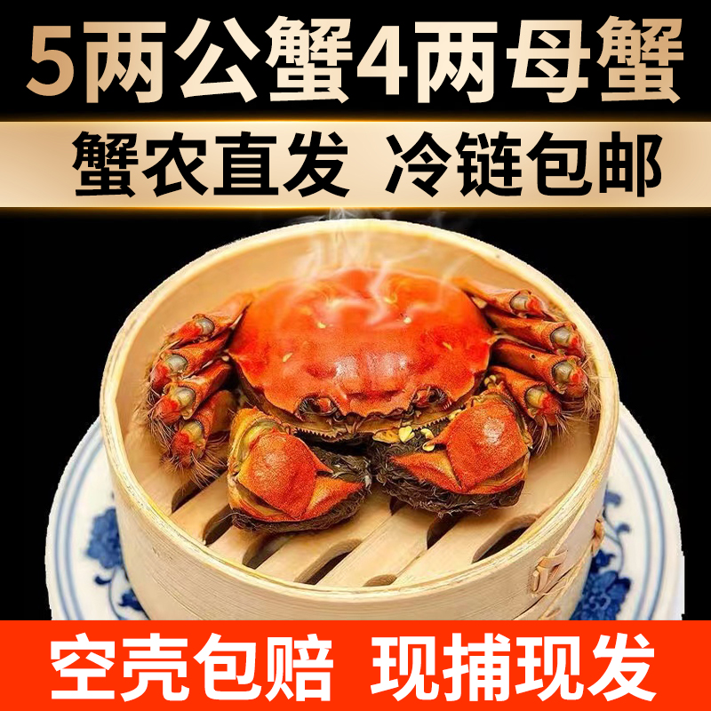 【活蟹】苏州精品大闸蟹公蟹4.5两 母蟹3.5两 6只 8只 10只现捕现捞