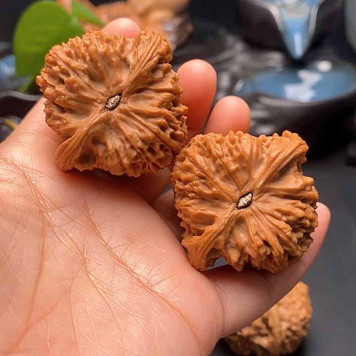 文玩核桃把件南疆44尺