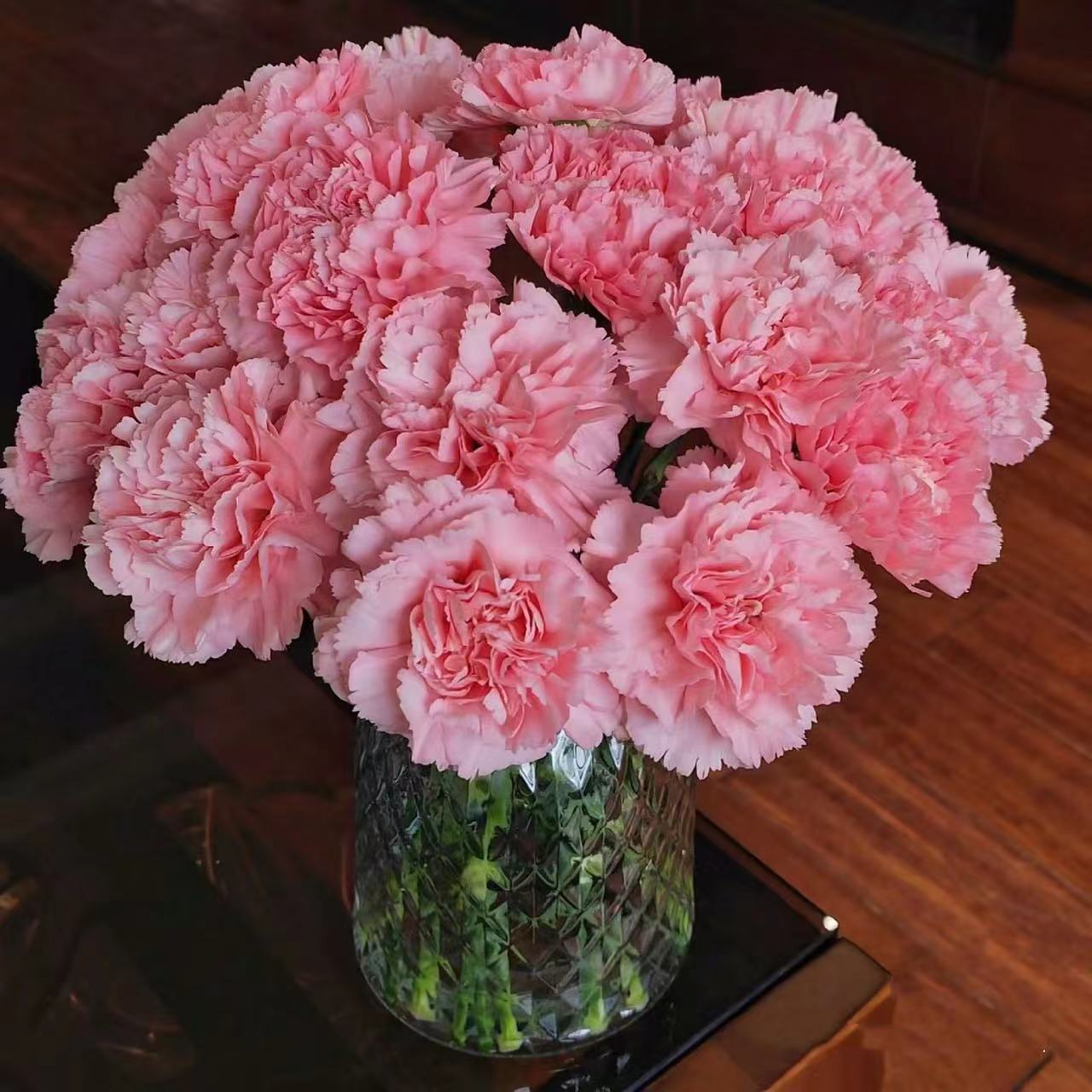 【云裳花园】粉钻康乃馨鲜花云南直发家养粉色康乃馨--到货先醒花