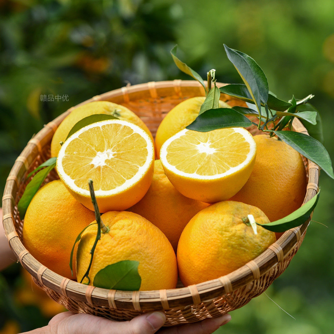 正宗江西赣南脐橙新鲜现摘当季水果手剥甜橙皮薄多汁5-10斤一箱