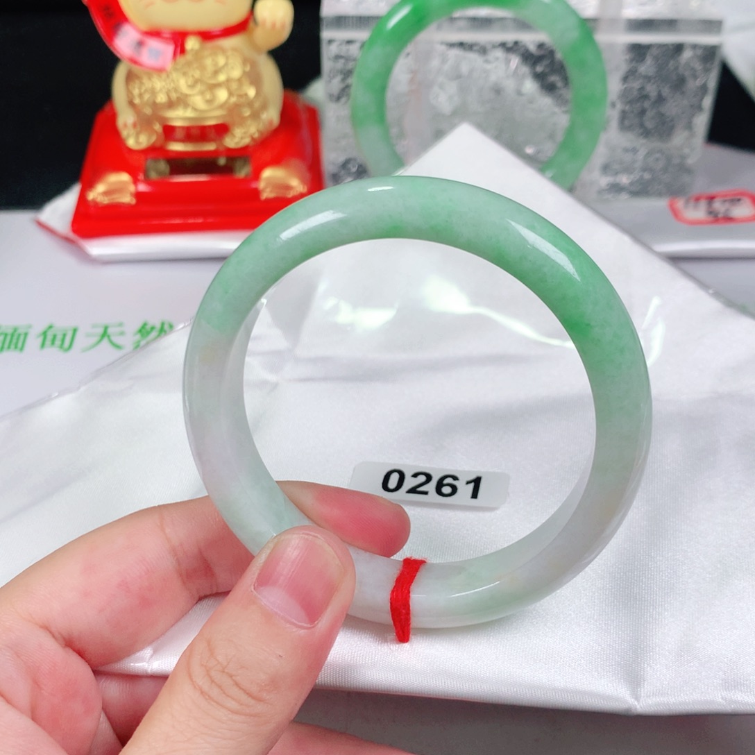 未镶嵌手镯翡翠0261