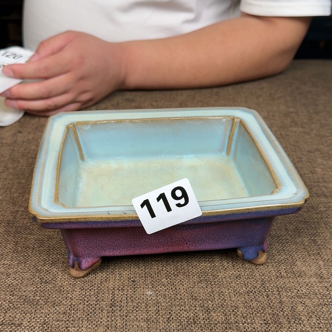 正能量满满的正能量