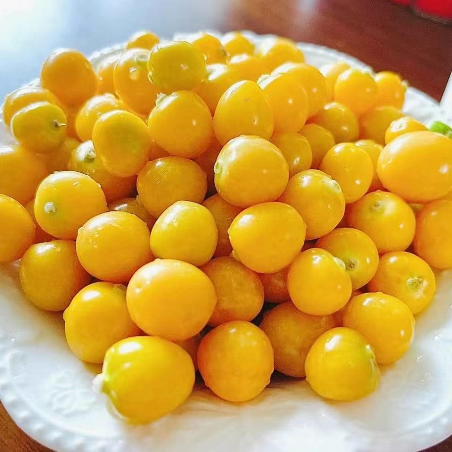 果切绥化黄金豆菇娘一斤 薄皮爆汁甜 扒皮请备注