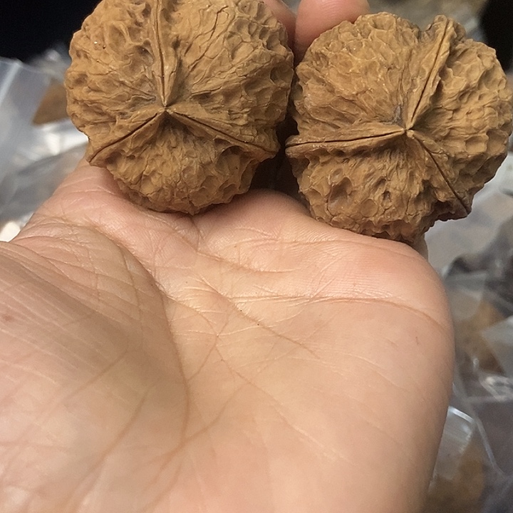 文玩核桃把件云南铁核桃基地91