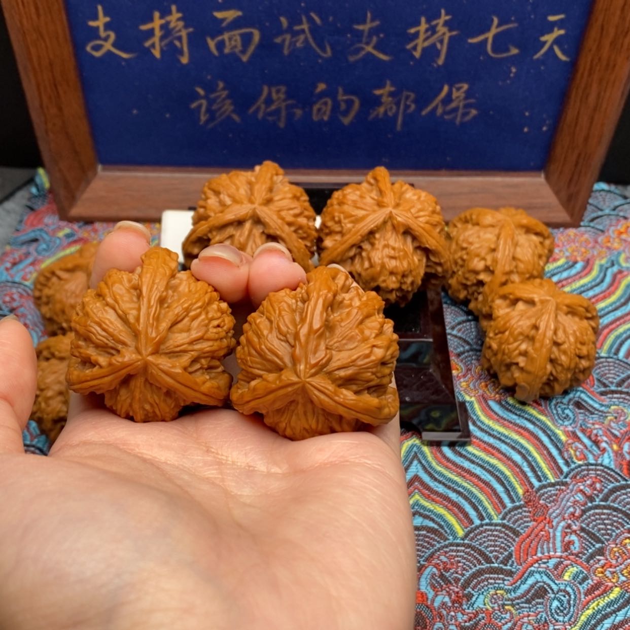 【闪购商品】诺****)白狮