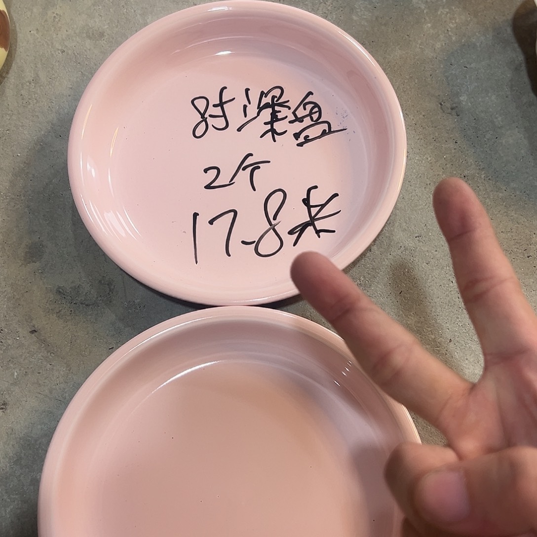 米其林8寸粉色盘子2个