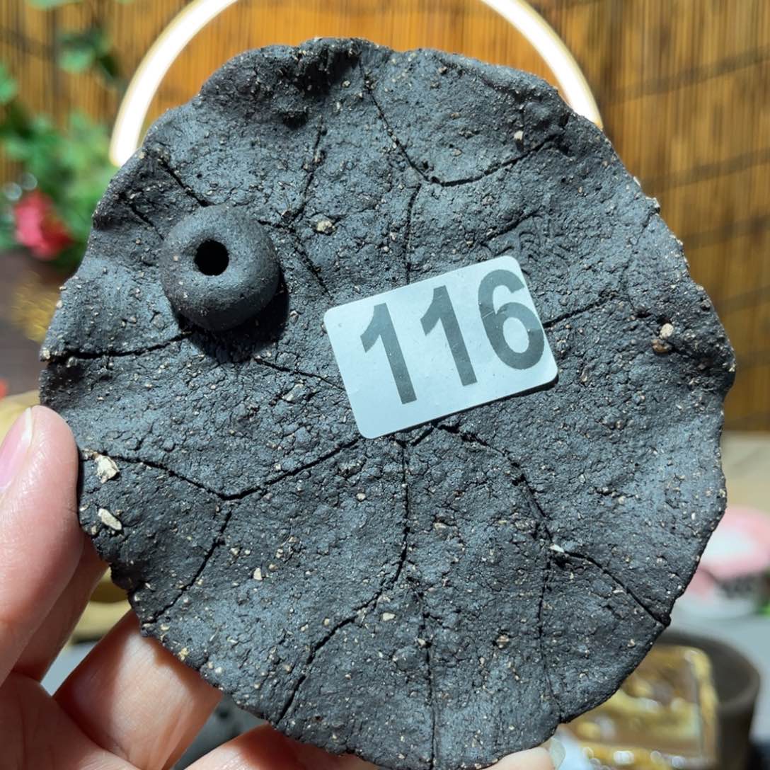 木村信弘柴烧保平