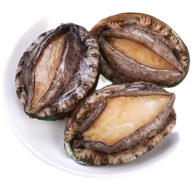 活六头大鲍鱼66元6只