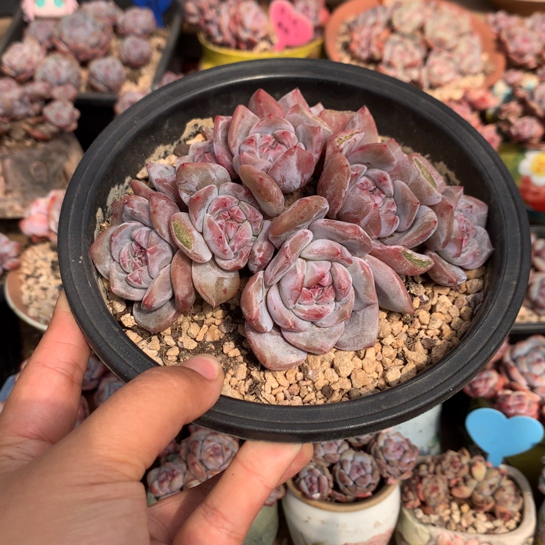 哈哈哈哈哈哈哈哈2