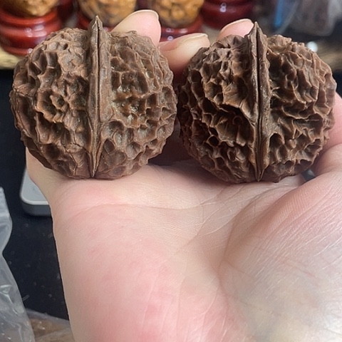 把件文玩核桃凤凰牡丹带彩47阴皮