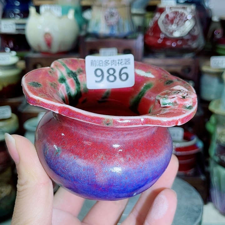 狼盆内口径5高度6