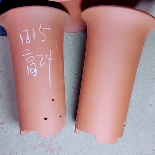 红陶华****生紫砂紫砂紫砂