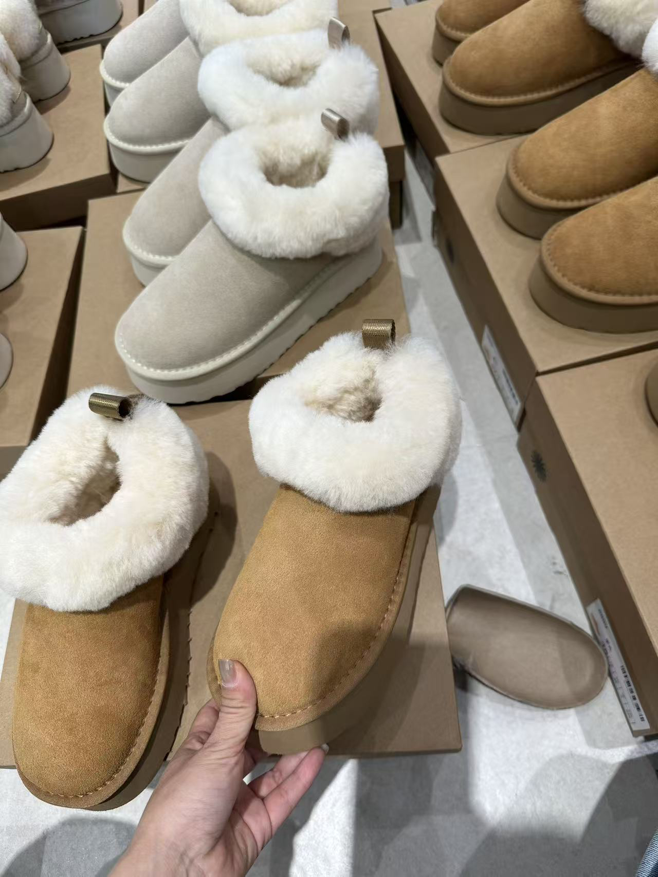 塔茨勒羊咩咩雪地