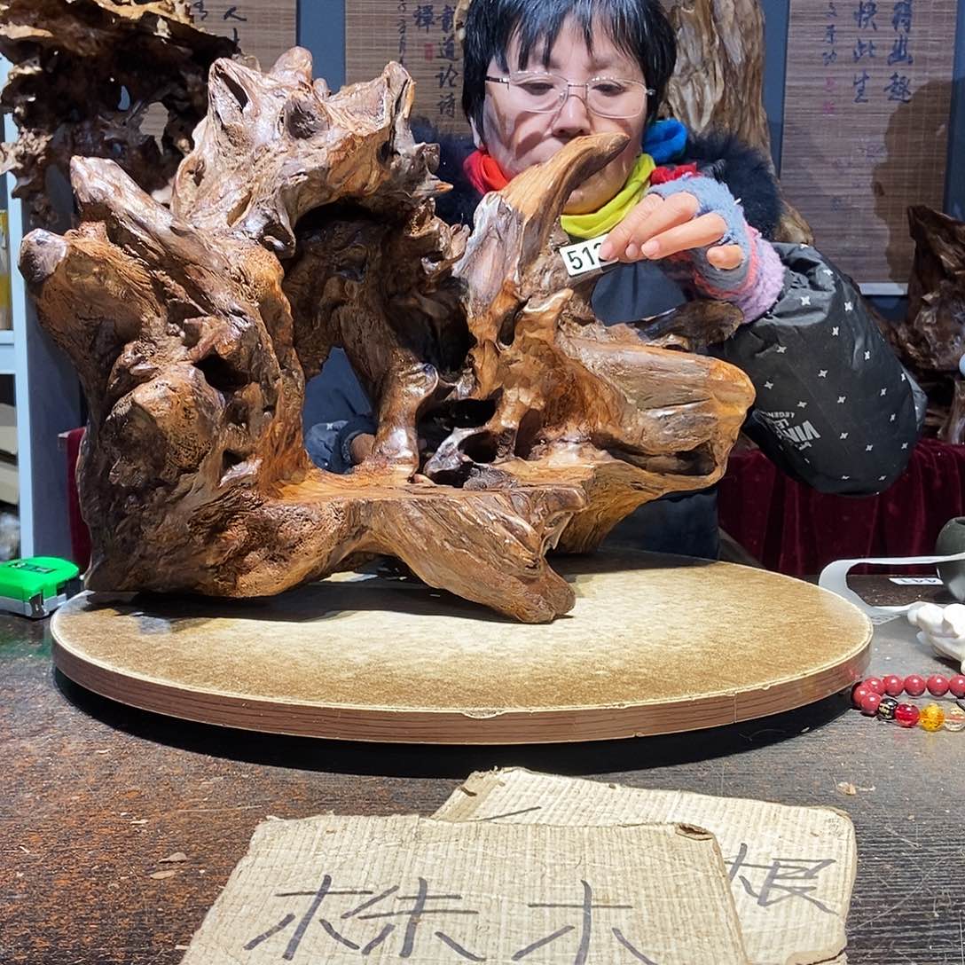 光***焰513。株木随行根艺