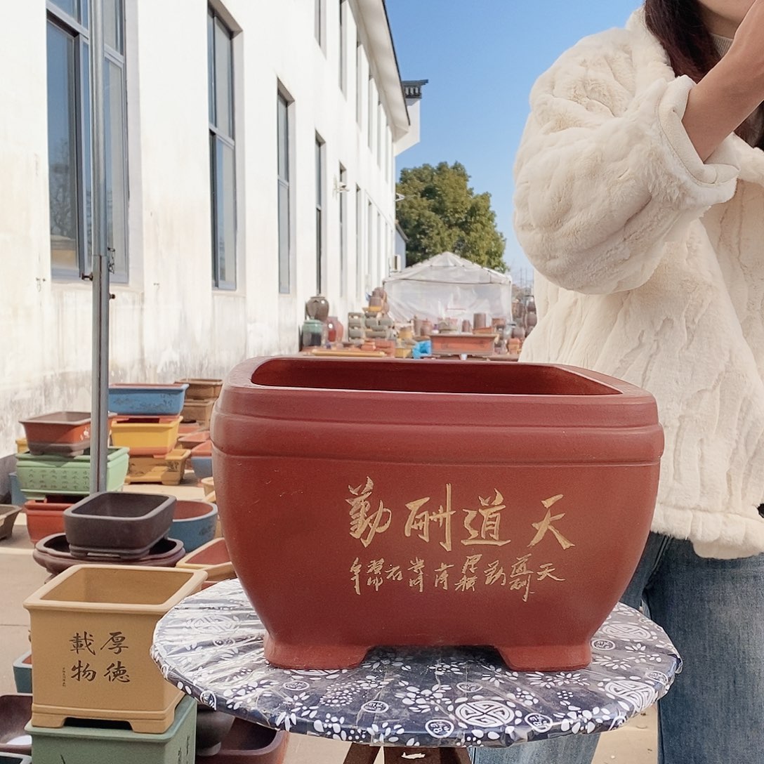 紫砂花盆紫砂花盆