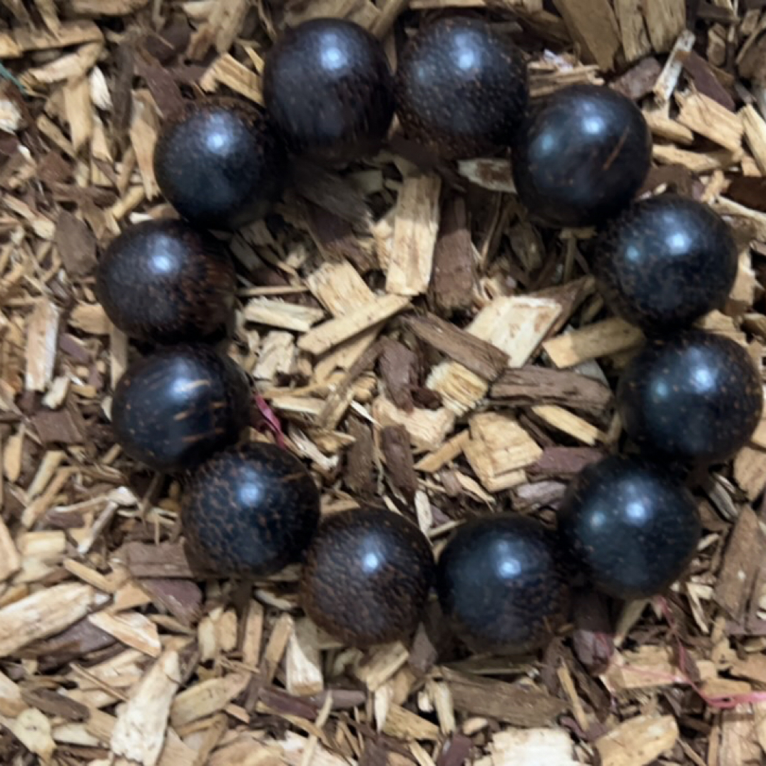 29 福来精选文玩沉香木作手串21mm